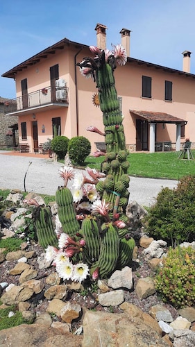 Cozy renovated rustic house nestled in the Tuscan countryside