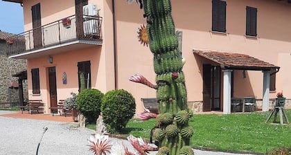 Cozy renovated rustic house nestled in the Tuscan countryside
