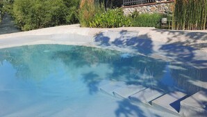 Une piscine à l’eau claire, entourée d’un mur de pierre et d’une végétation luxuriante.