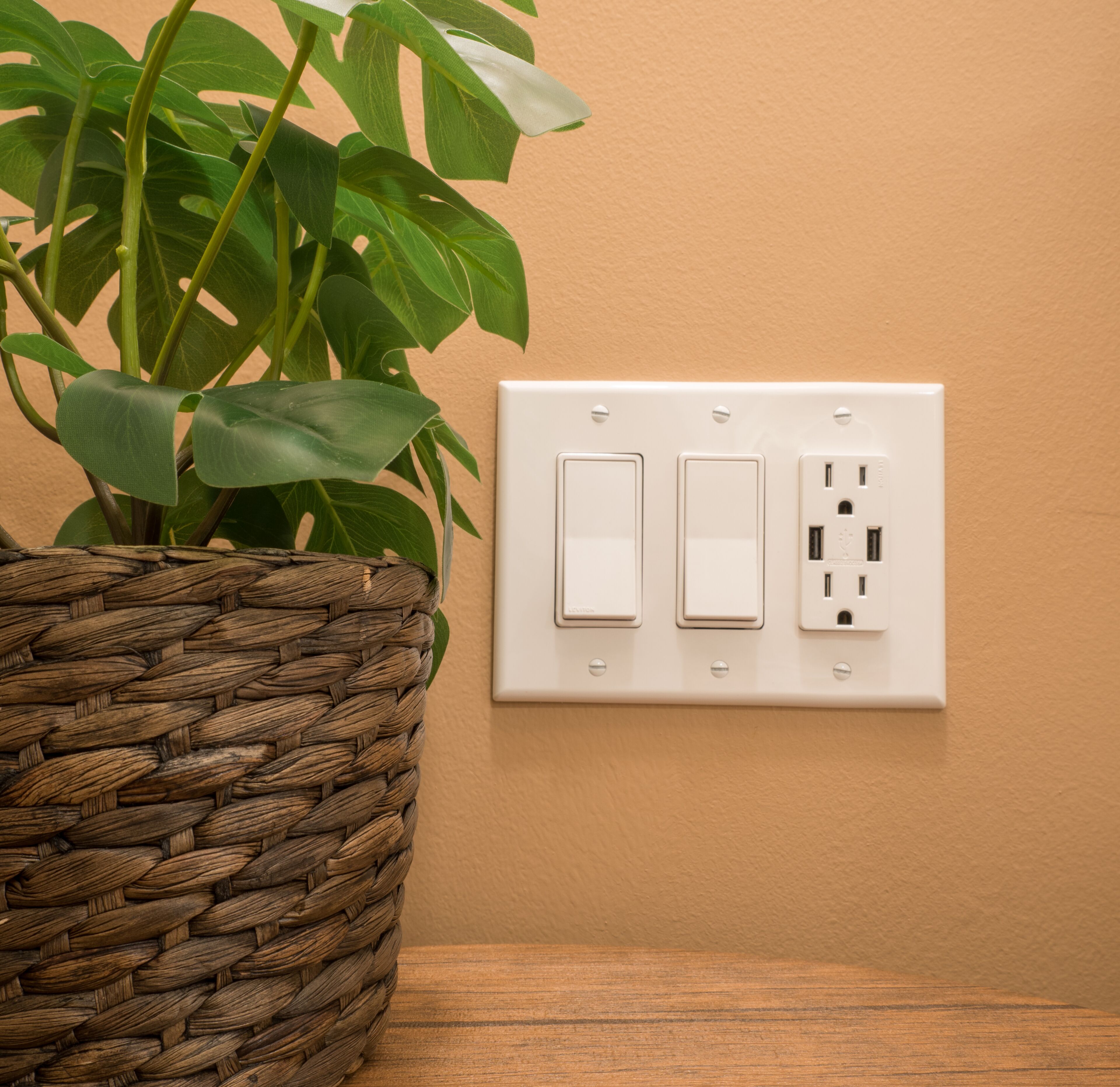 A wall-mounted electrical outlet with two switches and a USB port, next to a woven basket and a potted plant.