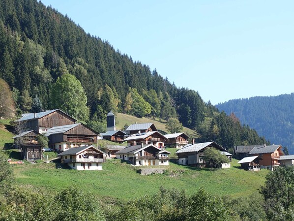 A cluster of traditional wooden houses with sloped roofs, set on a hillside with a forested backdrop.
