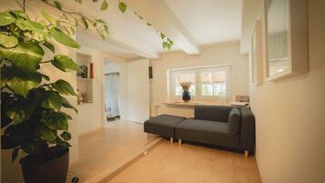 Smart-TV, Kamin, Videospiele, DVD-Player