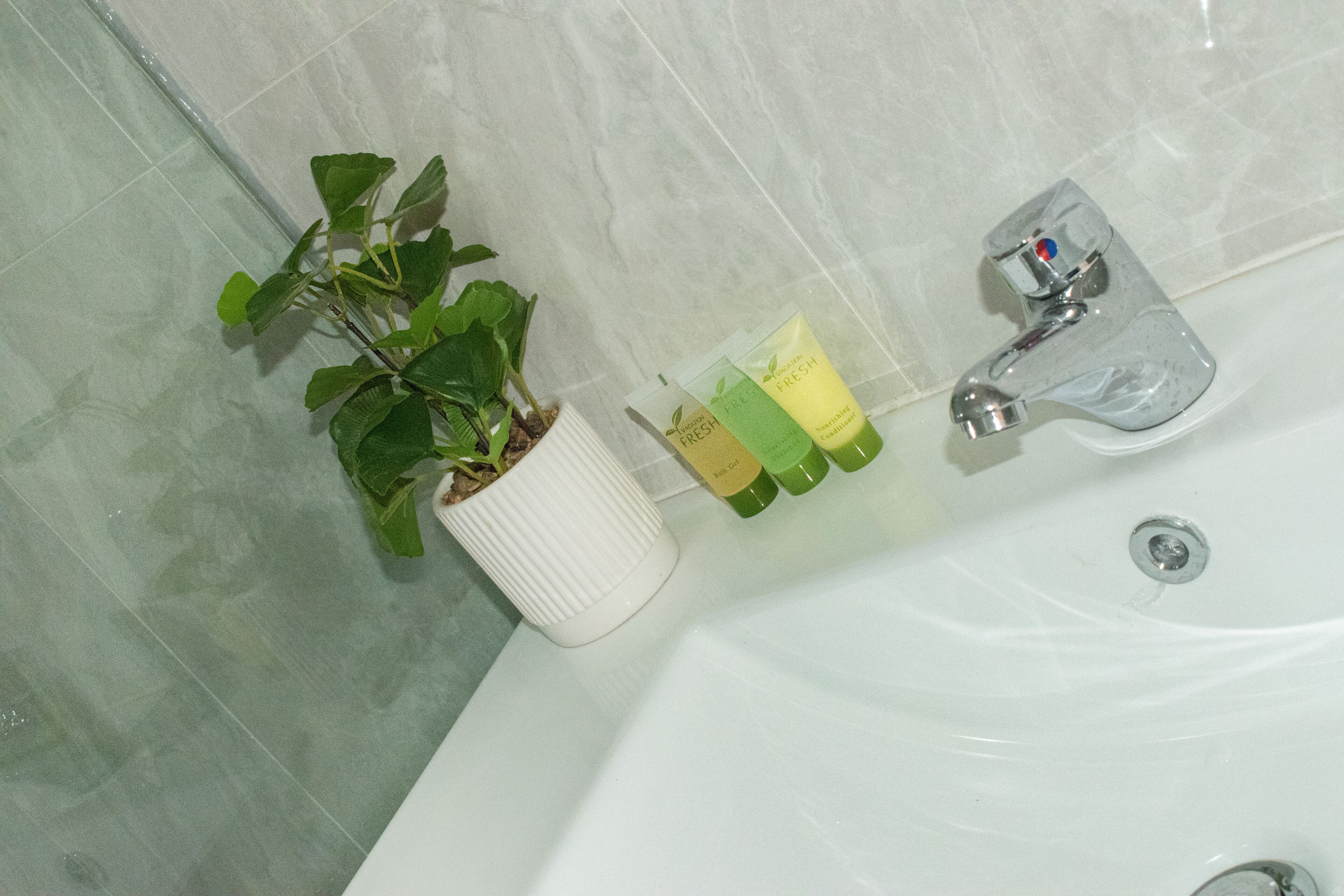 A bathroom with a white sink, a potted plant, and a set of toiletries.