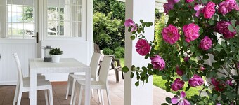 PIETRASANTA - VERSILIA ★★★★★ Enchanting Cottage by the sea