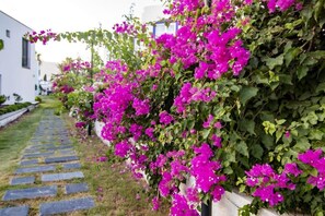 Garden - Ala Grand Residence (Bodrum)