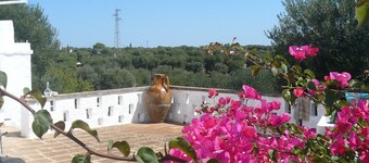 Chateau / Country House