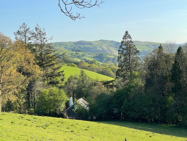 A rural landscape with rolling hills, a wooden house surrounded by trees, and a clear sky.