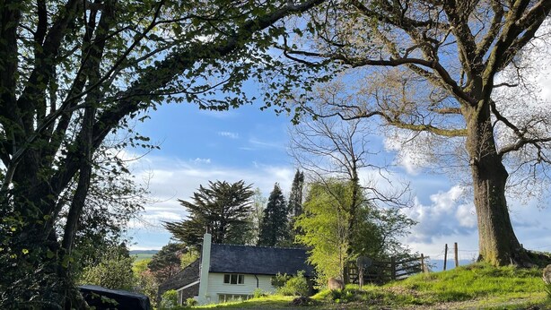 A house with a sloped roof, surrounded by trees and a gravel path. - Peaceful spacious cottage close to mountain walks and beaches (Machynlleth)