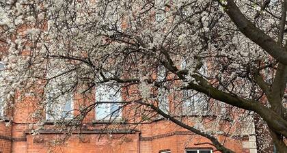 Studio with a view over Dublin, walking distance to city & Dublin Zoo 10 min