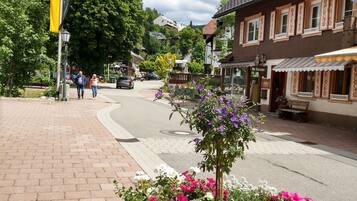 Terrein van de accommodatie