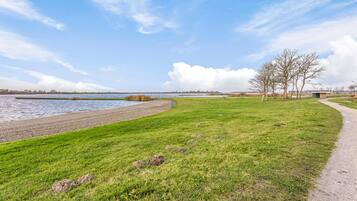 Vlak bij het strand, vissen