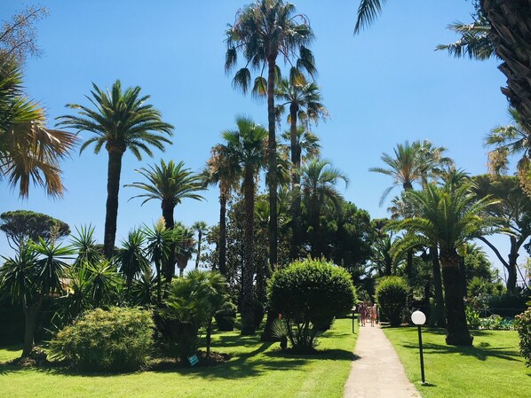 A pathway lined with palm trees and lush greenery, leading to a distant structure.