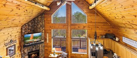 Smart TV, fireplace, video games, books