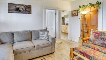 TV, fireplace, books