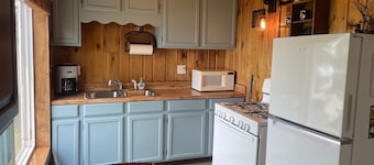 Loon Cabin at Pelican Lake