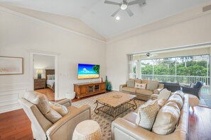 TV