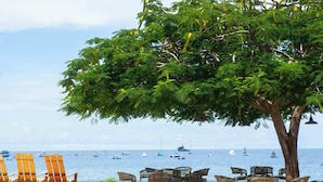 A beachside seating area with chairs and a large tree, overlooking the sea with boats. - Chic Condo w/ Sparkling Pool & Lush Mountain Views from Shaded Balconies (Playas del Coco)