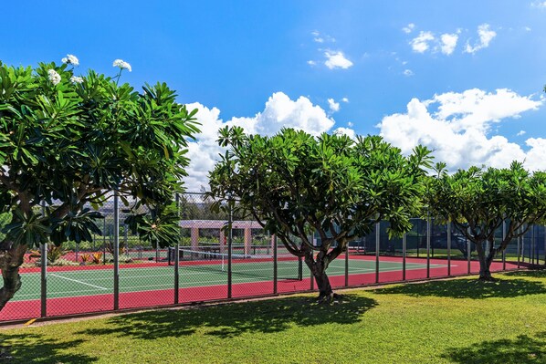 Un court de tennis entouré d’arbres, sous un ciel bleu dégagé.