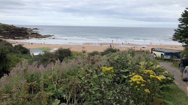 Une plage avec des affleurements rocheux, une étendue de sable et un sentier menant à un bâtiment.