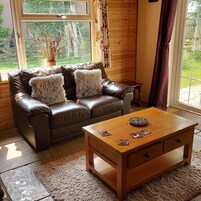 Un salon chaleureux avec un canapé en cuir marron, des coussins moelleux, une table basse en bois et une vue sur la verdure grâce à de grandes fenêtres.