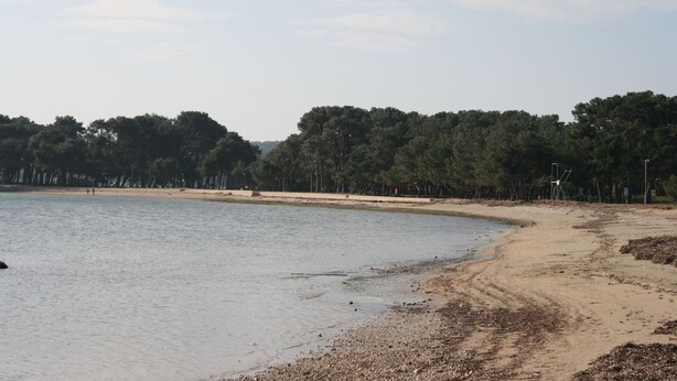 Une plage avec un rivage sablonneux, une eau calme et une rangée d’arbres en arrière-plan.
