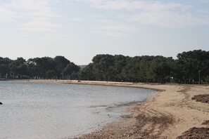A beach with a sandy shore, calm water, and a line of trees in the background.