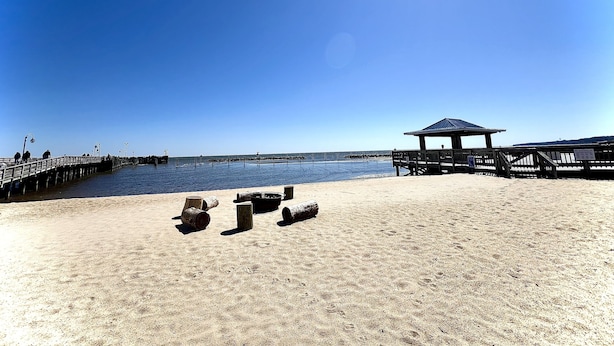 Una playa con un muelle de madera, un pabellón y troncos sobre la arena.