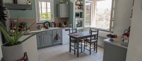 Une cuisine avec une table à manger, des meubles de rangement gris, une plante en pot et une fenêtre.
