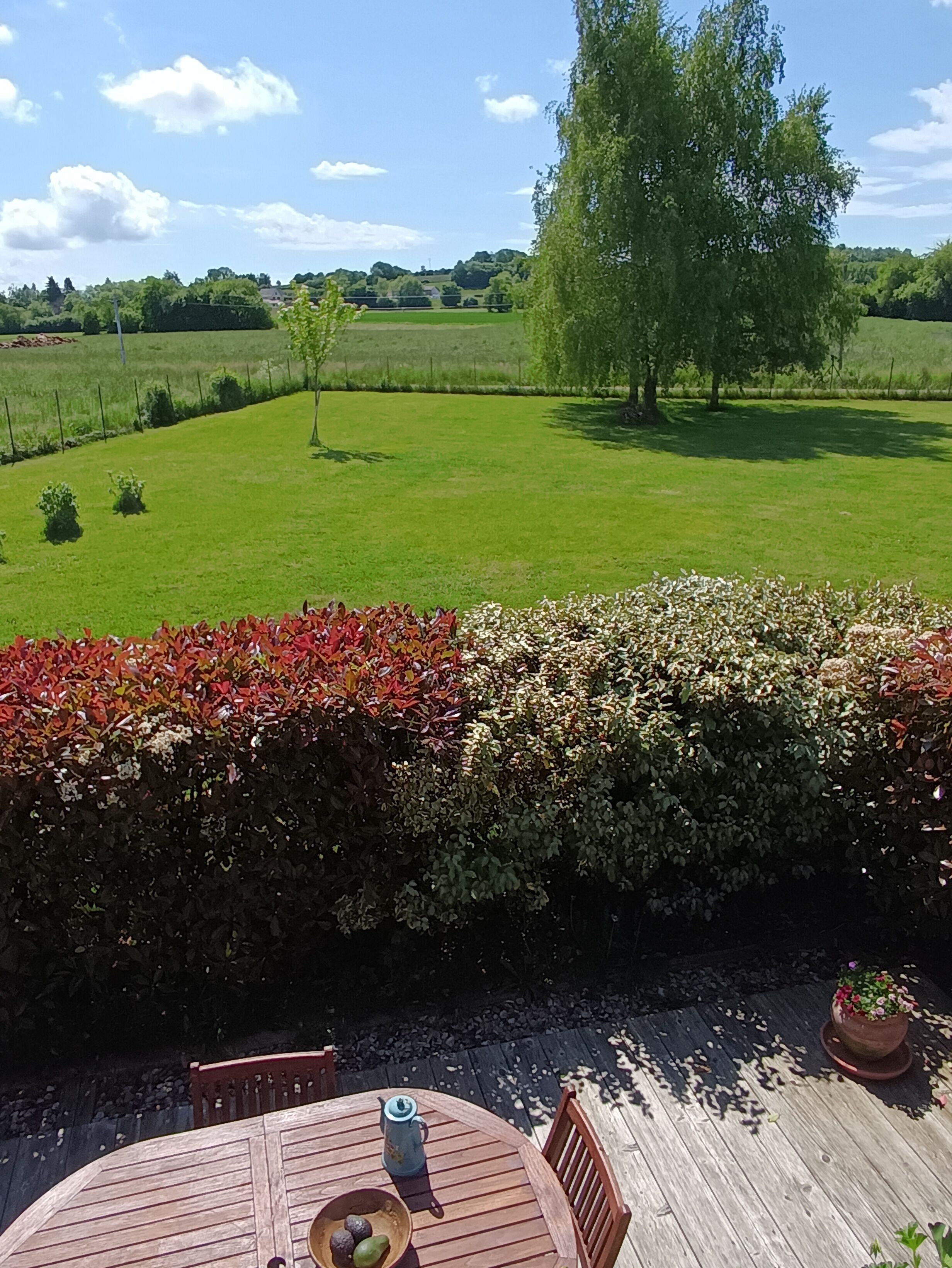 A wooden deck with a table and chairs, a potted plant, and a view of a green field and trees.
