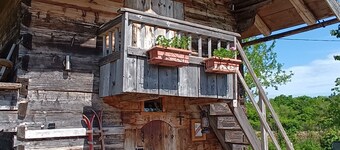 A taste of authenticity in a charming gite with Nordic bath