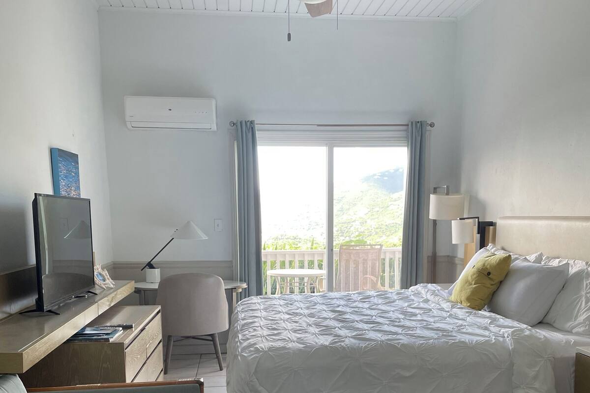 Habitación de hotel con cama, escritorio con computadora, silla, televisor, ventilador de techo y vista al exterior.
