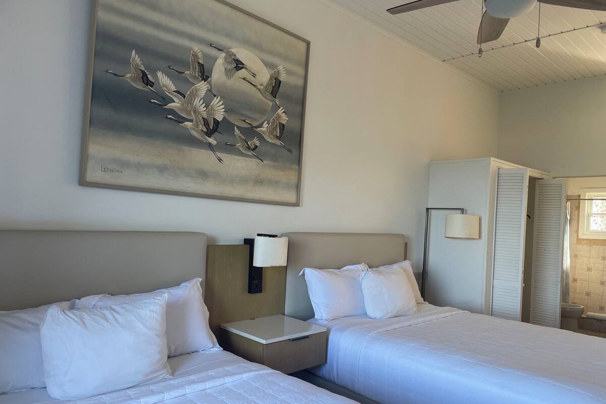 Habitación de hotel con dos camas, ventilador de techo, un cuadro de pájaros y baño con ducha e inodoro.