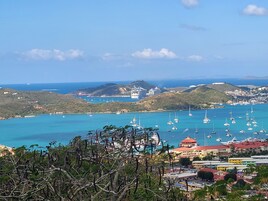 Vista desde la habitación
