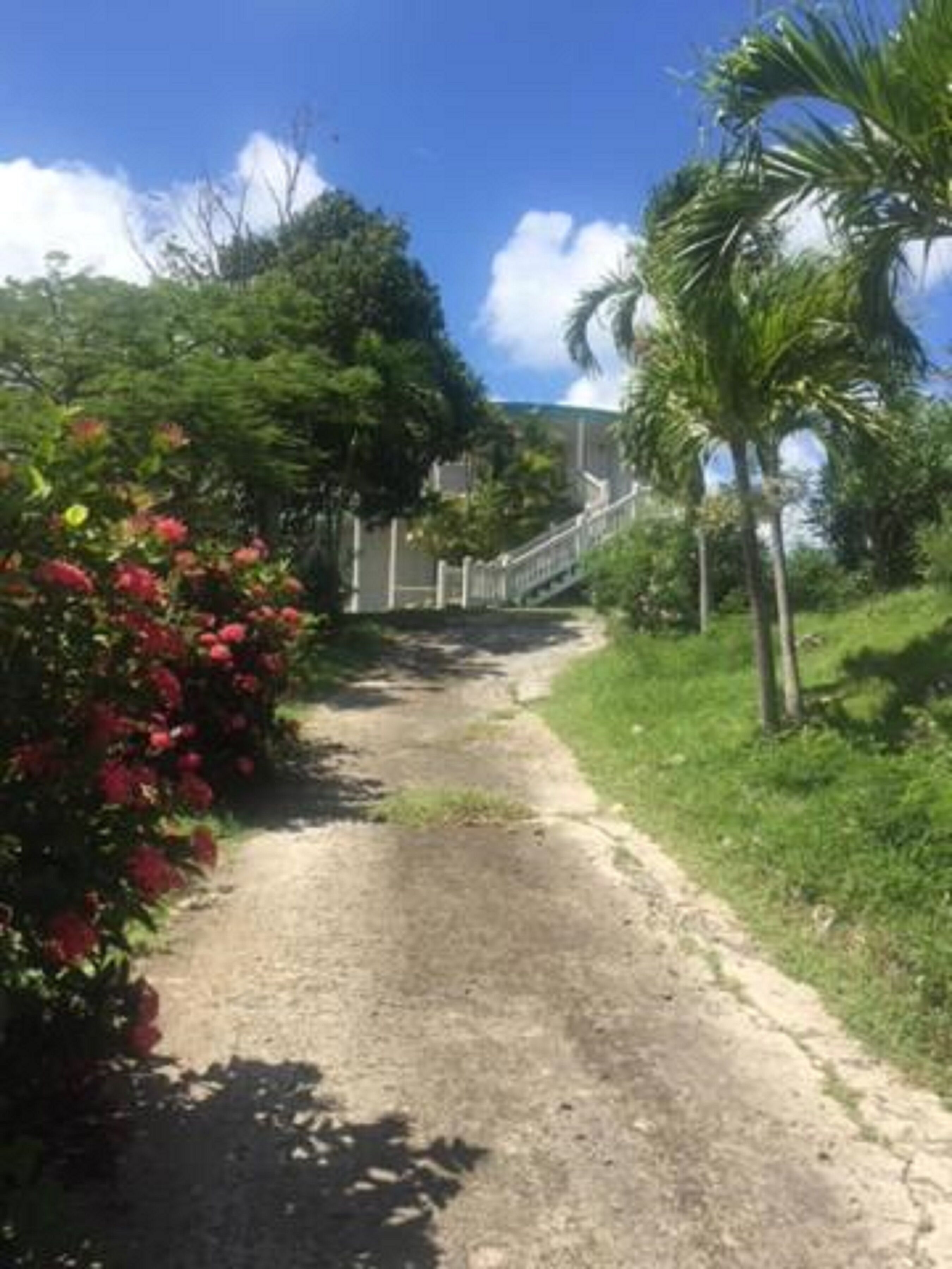 A dirt path leading to a building with a staircase.