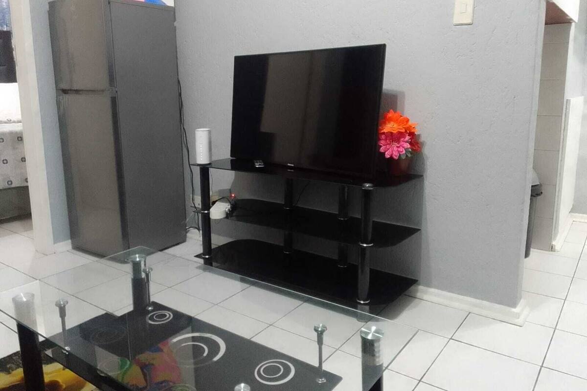 A modern living room with a flat-screen TV on a black stand, a glass coffee table, and a small potted plant.
