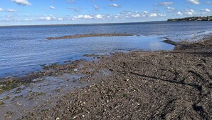 A rocky shoreline with calm water and a clear sky.