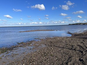Beach nearby - Remodeled home on the Bay of Bouctouche. (Baie de Bouctouche)