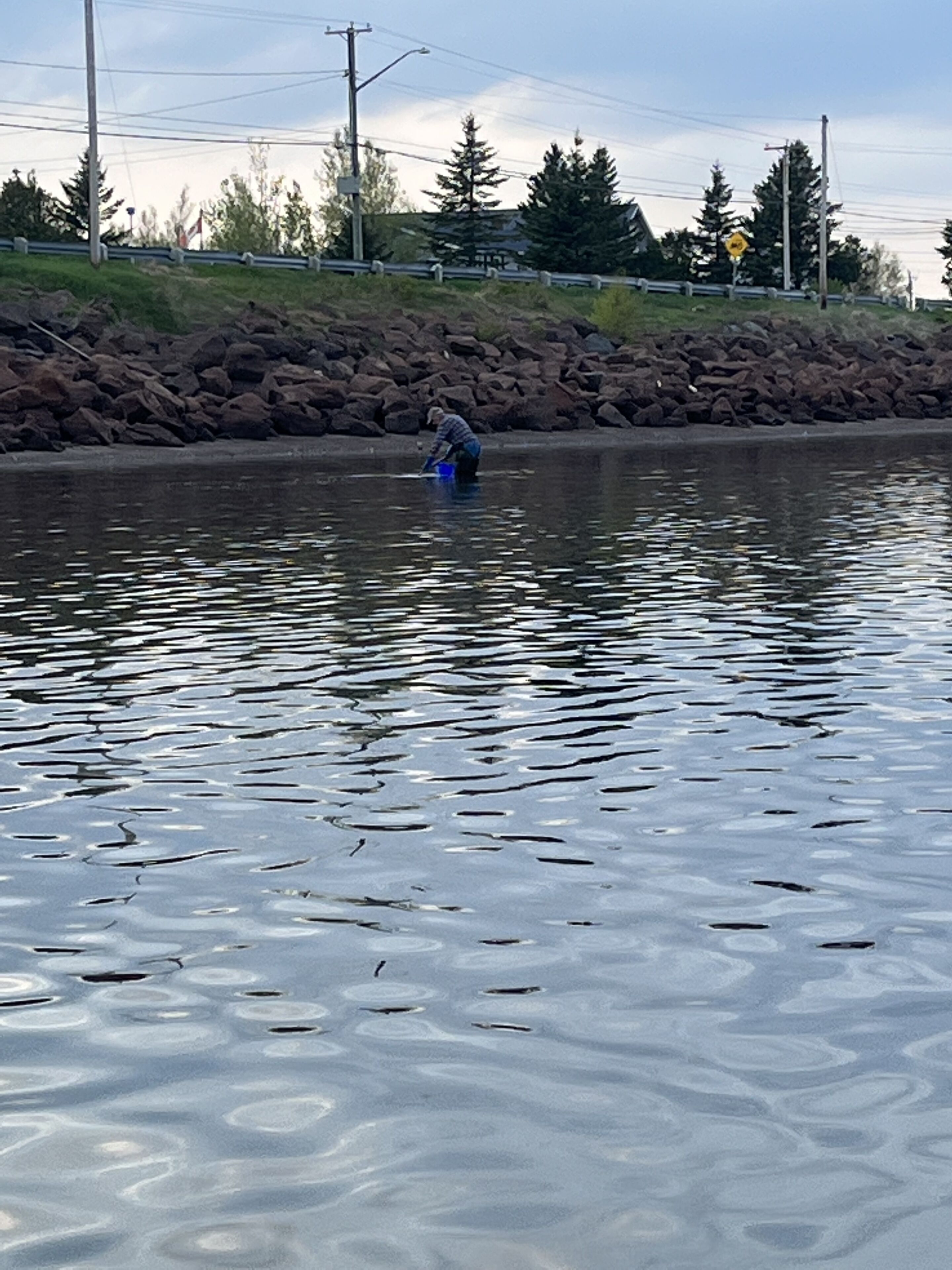 Une personne est en train de pêcher au bord d’une rivière paisible, avec une rive rocheuse et des arbres en arrière-plan.