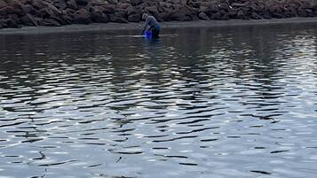 Une personne est en train de pêcher au bord d’une rivière paisible, avec une rive rocheuse et des arbres en arrière-plan.