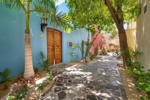 Property grounds - Spectacular Home Located steps from Lap Pool with Great Patio (Loreto)