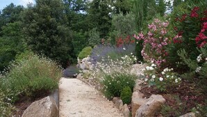 Een grindpad in een tuin, omringd door verschillende planten en bloemen.