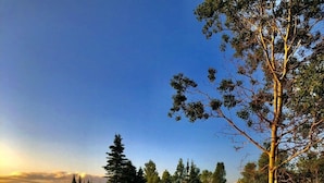 A lodge with a signboard, surrounded by a lush garden with vibrant flowers, a large tree, and a clear sky. - Coach House Motel 20 km East Terrace Bay (Unorganized Thunder Bay District)