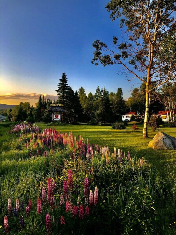 Fachada del alojamiento