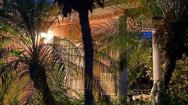 A tropical garden with palm trees and a thatched roof structure. - Vintage Vero Bungalow (Vero Beach)