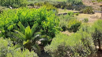 Appartement | Enceinte de lâhĂ©bergement
