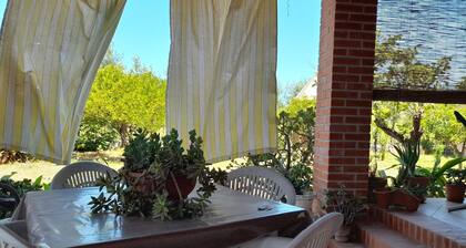 Margherita's Nest by the sea With Birds Song