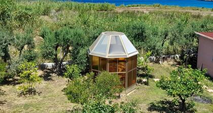 Margherita's Nest by the sea With Birds Song