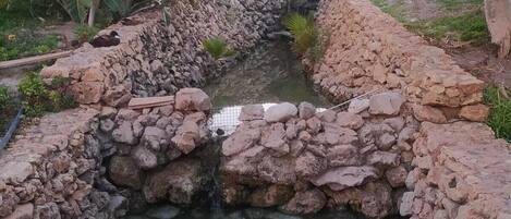 Parco della struttura