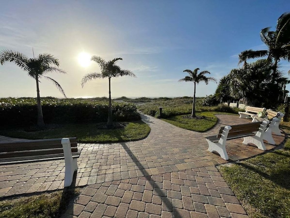 A paved pathway with benches, palm trees, and a clear sky. - Lovely Dog-Friendly Oasis ~ Walk to Beach ~ Office (Venice)