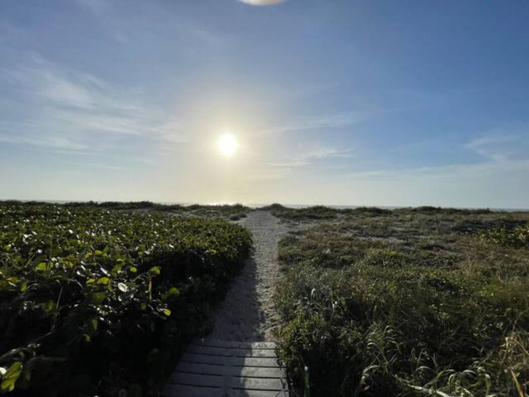 En sti gennem et naturlandskab med klar himmel og sollys.